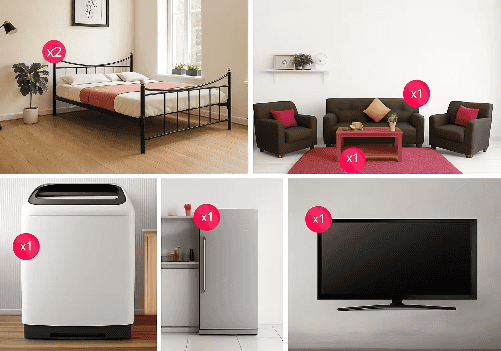 Fully Furnished 2 BHK Combo Light